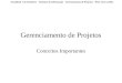 Faculdade 7 de Setembro – Sistemas de Informação - Gerenciamento de Projetos – Prof. Ciro Coelho Gerenciamento de Projetos Conceitos Importantes