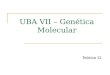 UBA VII – Genética Molecular Teórica 11. Sumário: Capítulo X Variações no número e estrutura dos cromossomas Técnicas citológicas Poliploidia Aneuploidia