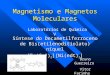 Magnetismo e Magnetos Moleculares Síntese do Decametilferroceno de Bis(etilenoditiolato) níquel [Fe(Cp*) 2 ][Ni(edt) 2 ] Bruno Guerreiro Vitor Farinha