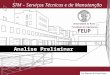 STM – Serviços Técnicos e de Manutenção Analise Preliminar Rui Manuel de Sousa Pena 1