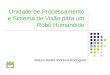 Unidade de Processamento e Sistema de Visão para um Robô Humanóide Mauro André Moreira Rodrigues Universidade de Aveiro