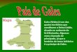 Gales (Wales) é um dos quatro territórios que constituem o Reino Unido, situado no sudoeste da Grã-Bretanha. Algumas vezes chamado de principado, já que