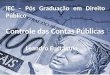 IEC – Pós Graduação em Direito Público Controle das Contas Públicas Leandro Eustáquio