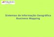 Sistemas de Informa§£o Geogrfica Business Mapping