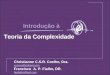 Introdução à Teoria da Complexidade Christianne C.S.R. Coelho, Dra. ccsrcoelho@aol.com Francisco A. P. Fialho, DR. fapfialho@aol.com
