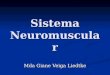 Sistema Neuromuscular Mda Giane Veiga Liedtke. Geração de Força