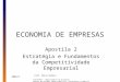 2005/1 Prof. Hélio Henkin FCE/UFRGS – Departamento de Economia Núcleo de Estudos sobre Indústria, Tecnologia e Comércio Internacional – NETIT ECONOMIA