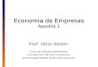 Economia de Empresas Apostila 1 Prof. Hélio Henkin Curso de Ciências Econômicas Faculdade de Ciências Econômicas Universidade Federal do Rio Grande do