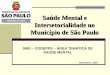 Saúde Mental e Intersetorialidade no Município de São Paulo SMS – CODEPPS – ÁREA TEMÁTICA DE SAÚDE MENTAL Novembro, 2007