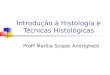 Introdução à Histologia e Técnicas Histológicas Profª Marília Scopel Andrighetti