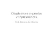 Citoplasma e organelas citoplasmáticas Prof. Debora de Oliveira