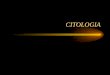 CITOLOGIA. Citologia do grego kytos=célula e logos=estudo