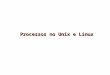 Processos no Unix e Linux. Controle de processo Um processo é um programa em execução. Os processos são identificados pelos seus identificadores de processos,