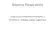 Sistema Respiratório CBB 5018 Anatomia Humana II Professor: Indíara Jorge Latorraca