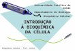 Bioquímica Celular – Prof. Júnior INTRODUÇÃO À BIOQUÍMICA DA CÉLULA Universidade Católica de Goiás Departamento de Biologia Bioquímica Celular