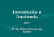 Introdução a Anatomia 2007 Profa. Helen Pereira dos Santos