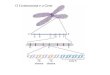 O Cromossoma e o Gene. Estrutura bsica de um gene