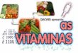 Saiba o que são as vitaminas, como elas agem em nosso organismo e quais são os mitos que cercam estas substâncias