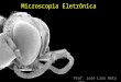 Microscopia Eletrônica Prof. José Lino Neto – UFV