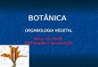 BOTÂNICA ORGANOLOGIA VEGETAL AULA 14- FLOR Polinização e fecundação