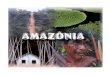 O complexo geoeconômico da Amazônia corresponde a cerca de 60% do território nacional, onde vivem apenas 7% de toda a população nacional, figura como