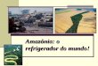 Amazônia: o refrigerador do mundo!. AMAZÔNIA NA AMÉRICA DO SUL A Amazônia é uma região localizada na porção norte/noroeste da América do Sul, definida