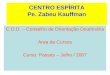 CENTRO ESPÍRITA Pe. Zabeu Kauffman C.O.D. – Conselho de Orientação Doutrinária Área de Cursos Curso: Passes – Julho / 2007