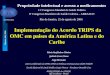 NAF/FIOCRUZ Oliveira, MA, 2006 Implementação do Acordo TRIPS da OMC em paises da América Latina e do Caribe Implementação do Acordo TRIPS da OMC em paises