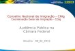 Conselho Nacional de Imigração – CNIg Coordenação Geral de Imigração - CGIg Audiência Pública na Câmara Federal Brasília 09_04_2013