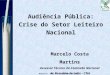 Audiência Pública: Crise do Setor Leiteiro Nacional Marcelo Costa Martins Assessor Técnico da Comissão Nacional de Pecuária de Leite - CNA Brasília - DF,