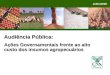 Audiência Pública: Ações Governamentais frente ao alto custo dos insumos agropecuários Julho/2008
