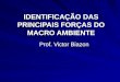 IDENTIFICAÇÃO DAS PRINCIPAIS FORÇAS DO MACRO AMBIENTE Prof. Victor Biazon