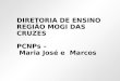 DIRETORIA DE ENSINO REGIÃO MOGI DAS CRUZES PCNPs – Maria José e Marcos