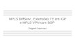 MPLS DiffServ, Extensões TE em IGP e MPLS VPN com BGP Edgard Jamhour