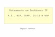 Roteamento em Backbones IP A.S., RIP, OSPF, IS-IS e BGP Edgard Jamhour