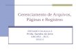 Gerenciamento de Arquivos, Páginas e Registros RESUMO DA AULA 3 Profa. Sandra de Amo GBC053 – BCC 2012-2