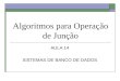 Algoritmos para Operação de Junção AULA 14 SISTEMAS DE BANCO DE DADOS