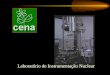Laboratório de Instrumentação Nuclear FLUORESCÊNCIA DE RAIOS X POR ENERGIA DISPERSIVA (ED-XRF) APLICAÇÃO EM AMOSTRAS AMBIENTAIS EDWIN ESPINOZA VALENCIA