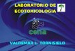 LABORATÓRIO DE ECOTOXICOLOGIA VALDEMAR L. TORNISIELO
