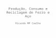 Produção, Consumo e Reciclagem de Ferro e Aço Ricardo MP Coelho
