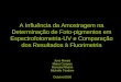 A Influência da Amostragem na Determinação de Foto-pigmentos em Espectrofotometria-UV e Comparação dos Resultados à Fluorimetria Juno Morais Maíra Campos