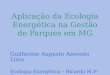 Aplicação da Ecologia Energética na Gestão de Parques em MG Guilherme Augusto Azevedo Lima Ecologia Energética – Ricardo M.P-C