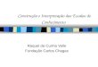 Construção e Interpretação das Escalas de Conhecimento Raquel da Cunha Valle Fundação Carlos Chagas
