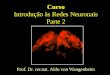 Curso Introdução às Redes Neuronais Parte 2 Prof. Dr. rer.nat. Aldo von Wangenheim