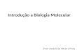 Introdução a Biologia Molecular Profª Daniela de Oliveira Pinto