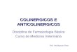 COLINERGICOS E ANTICOLINERGICOS Prof. Ms.Marcos Pires Disciplina de Farmacologia Básica Curso de Medicina Veterinária