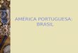 AMÉRICA PORTUGUESA: BRASIL. Brasil: Ilha de Vera Cruz e depois Terra de Santa Cruz. Desprezo por três décadas em função dos lucros com as especiarias