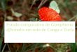 Estudo comparativo de Gomphrena officinalis em solo de Canga e Turfa
