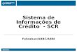 Mai/2004 Sistema de Informações de Crédito - SCR Febraban/ABBC/ABBI