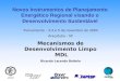 Mecanismos de Desenvolvimento Limpo MDL Ricardo Lacerda Baitelo Treinamento – 3,4 e 5 de novembro de 2004 Araçatuba - SP Novos Instrumentos de Planejamento